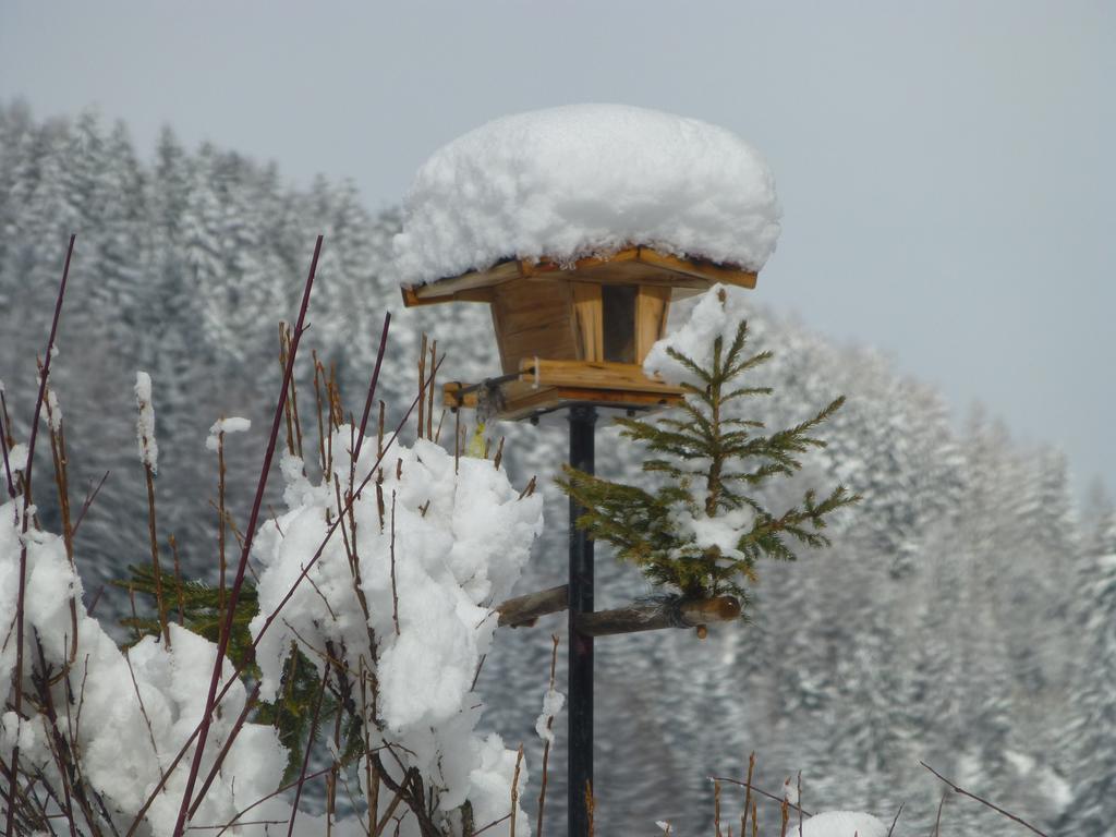 Guesthouse Mountain View Großkirchheim Екстериор снимка